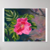 Hansa Shore Roos Poster (Voorkant)