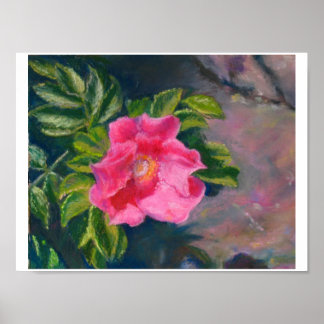 Hansa Shore Roos Poster