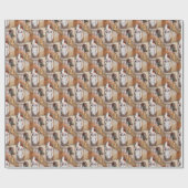  Hänsel en Gretel Classic Anne Anderson Cadeaupapier (Vlak)