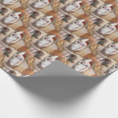  Hänsel en Gretel Classic Anne Anderson Cadeaupapier (Hoek)