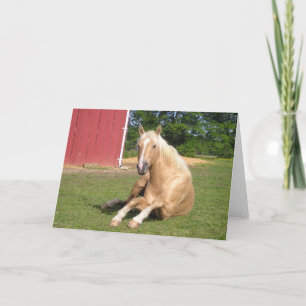 Hansome Palomino Horse Card Bedankkaart