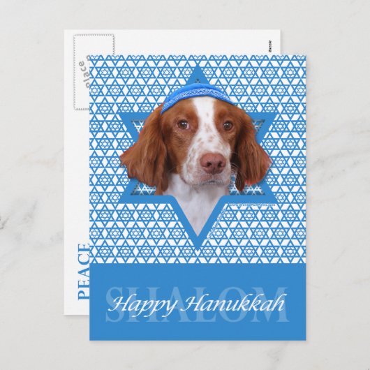 Hanukkah Star of David - Brittany - Charlie Feestdagenkaart (Voorkant / Achterkant)