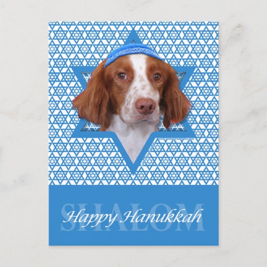 Hanukkah Star of David - Brittany - Charlie Feestdagenkaart (Voorkant)