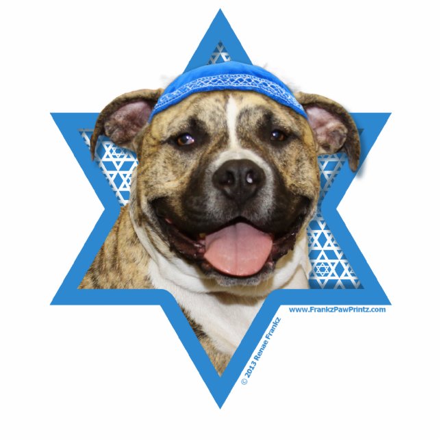 Hanukkah Star van David - Pitbull - Tigger Staand Fotobeeldje (Voorkant)