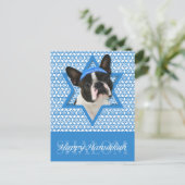 Hanukkah Ster van David - Boston Terrier Feestdagenkaart (Staand voorkant)