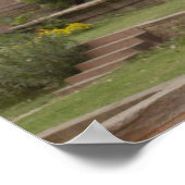 Hanuman Langurs of zwartgelooid, gewoon of grijs Poster (Hoek)