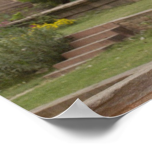 Hanuman Langurs of zwartgelooid, gewoon of grijs Poster (Hoek)