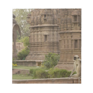 Hanuman Langurs of zwartgezicht, gewone of grijze Notitieblok