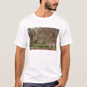 Hanuman Langurs of zwartkop, gewone of grijze T-shirt