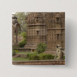 Hanuman Langurs of zwartkop, gewone of grijze Vierkante Button 5,1 Cm