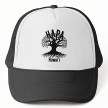 HAPA HAWAII ROOTS Book