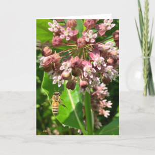 HapBEE verjaardagsbumblebee verjaardagskaart Kaart