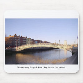 Ha'penny Bridge Dublin City Ierland Muismat