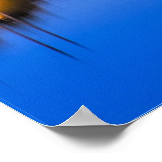 Ha'Penny Bridge, Dublin, Ierland Poster (Hoek)