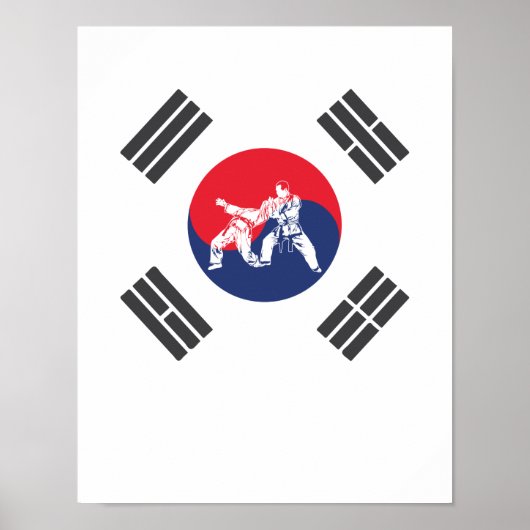 Hapkido Südkorea Flagge Kampfkunst Korea Poster (Voorkant)