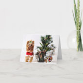 Happ-Bee Feestdagen. Kaart (Voorkant)