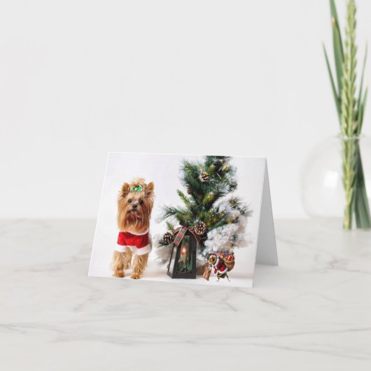 Happ-Bee Vakanties. Kaart (Voorkant)