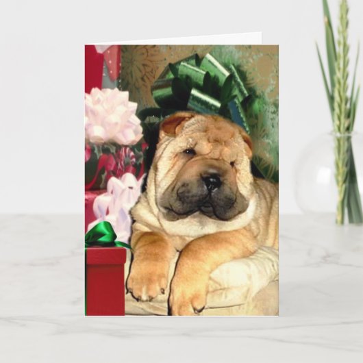 Happei Holiday Card Feestdagen Kaart (Voorkant)