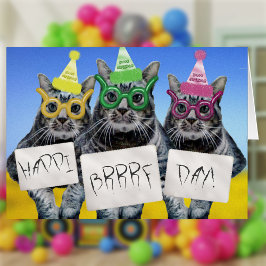 Happi Brrrf Dag Kat Trio