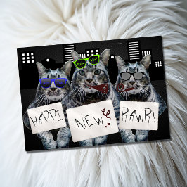 Happi New Rawr Kat Trio