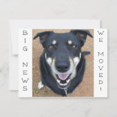 Happie is weg. Briefkaart (Voorkant)