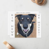 Happie is weg. Briefkaart (Voorkant / Achterkant in situ)