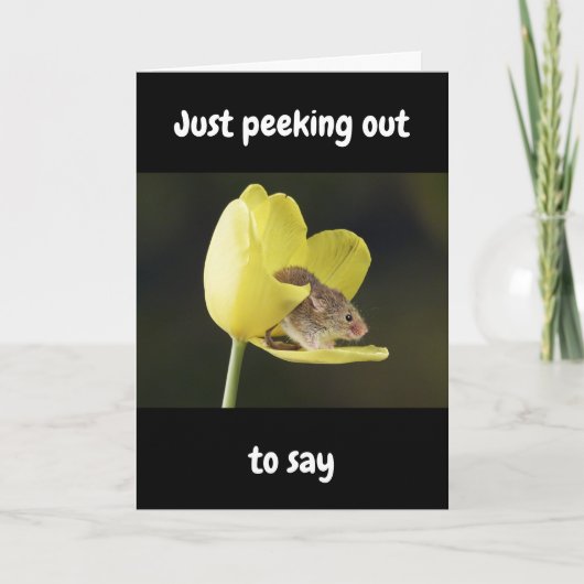 HAPPIEST OF "ALL" BIRTHDAYS WISHED TO "YOU" KAART (Voorkant)