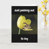 HAPPIEST OF "ALL" BIRTHDAYS WISHED TO "YOU" KAART (Gele Bloem)