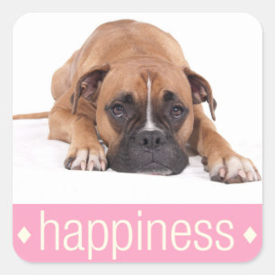 Happiness Boxer Puppy Hond Groet Sticker