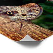 Happiness Brown Butterfly Abstract Inspirational  Poster (Hoek)