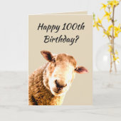 Happy 100th Birthday Funny Sheep Animal Humor Kaart (Gele Bloem)