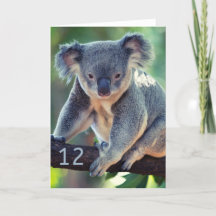 Happy 12th Birthday Australian Koala Wenskaart