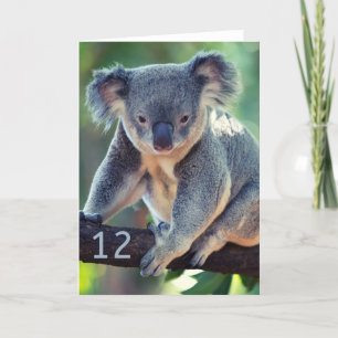 Happy 12th Birthday Australian Koala Wenskaart Kaart