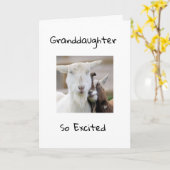 HAPPY *13th BIRTHDAY VOOR U *GRANDDAUGHTER* Kaart (Gele Bloem)