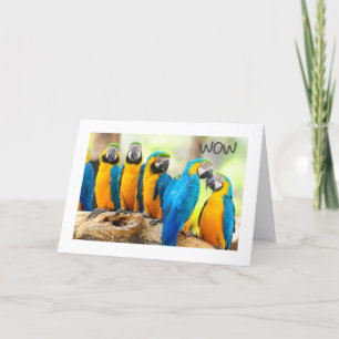 HAPPY **16th** BIRTHDAY Kaart