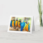 HAPPY **16th** BIRTHDAY Kaart (Voorkant)