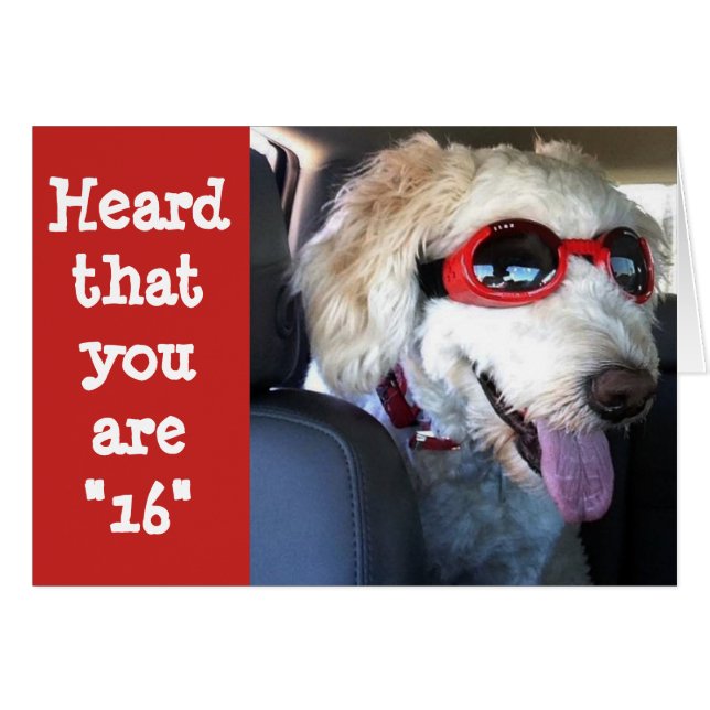 HAPPY **16th BIRTHDAY**TIME TO CELEBRATE!!! (Voorkant Horizontaal)