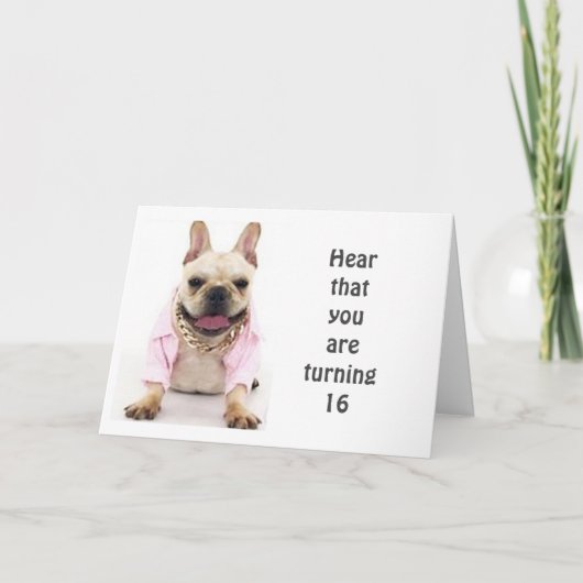 HAPPY **16th* BIRTHDAY ZEGT BULLDOG Kaart (Voorkant)