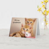 HAPPY **16th BIRTHDAY * * ZEGT SWEET KATTEN Kaart (Gele Bloem)