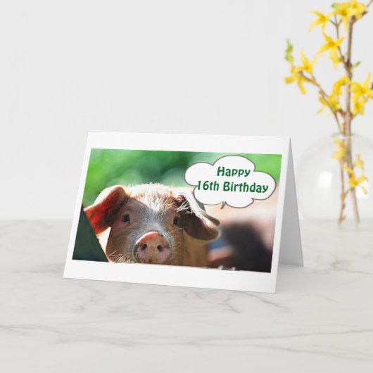 HAPPY **16th** VERJAARDAG LIVE IT UP-IK ZOU! Kaart (Gele Bloem)