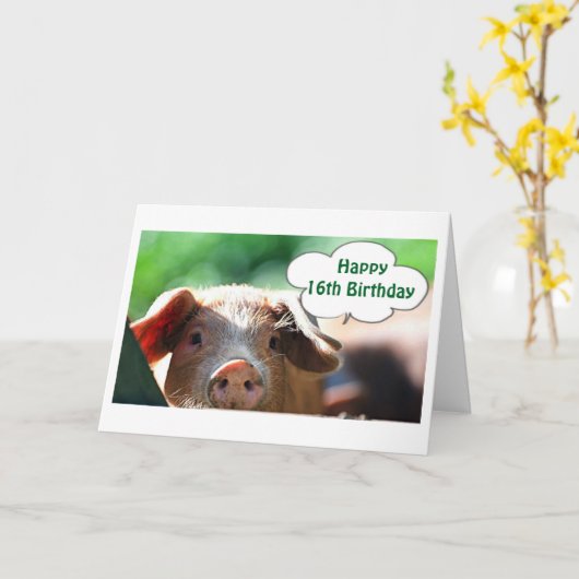 HAPPY **16th** VERJAARDAG LIVE IT UP-IK ZOU! Kaart (Gele Bloem)