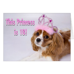 Happy 18th Birthday Cavalier King Charles Kaart
