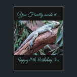 Happy 18th Birthday Son lizard Briefkaart<br><div class="desc">De 18e verjaardag van de geboorte van jongens...  je hebt eindelijk 18e verjaardag voor je gemaakt...  Geen modder meer,  geen insecten meer,  geen lizards meer en griezelige ritters. Je bent een slimme volwassene geworden,  ga nu naar buiten om te zien waar de wereld echt om draait.</div>