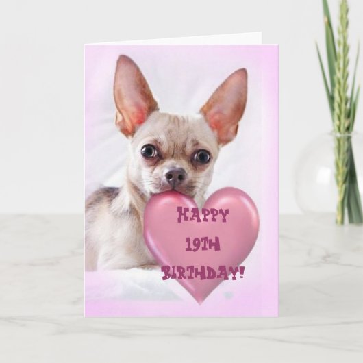 Happy 19th Birthday Chihuahua greeting card Kaart (Voorkant)