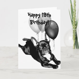 Happy 19th Birthday French Bulldog Wenskaart Kaart