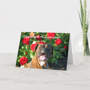 Happy 20th Jubileum Boxer Wenskaart Kaart