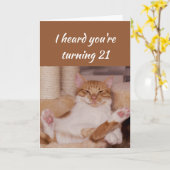 Happy 21st Birthday Celebrate Funny Cat Kaart (Gele Bloem)