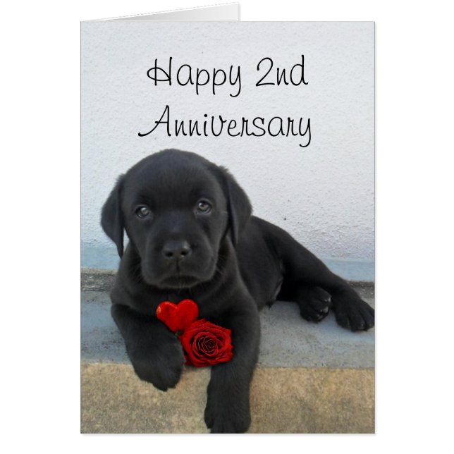 Happy 2e Jubileum Labrador puppy wenskaart (Voorkant)