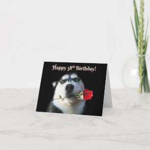 Happy 38th Birthday met Cute Husky Dog Kaart