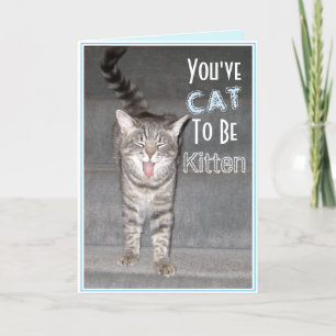 Happy 40th Birthday Funny Cat Kaart